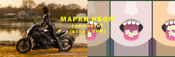 хмурый Алексеевка