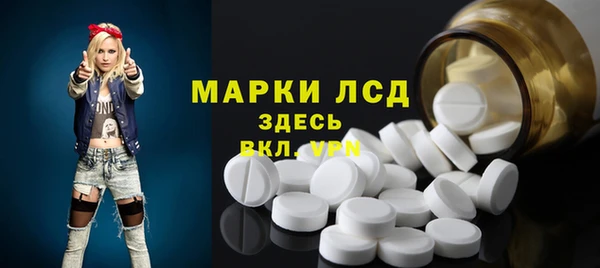 прущий лед Алзамай