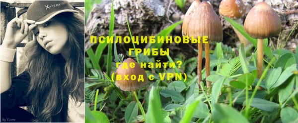 хмурый Алексеевка