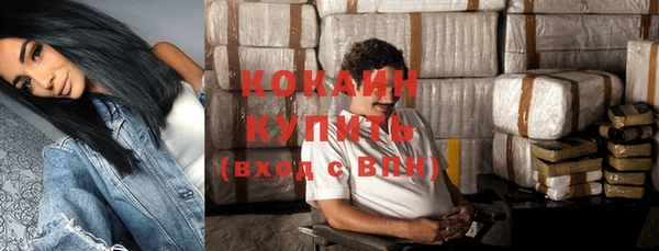 прущий лед Алзамай