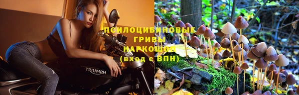 хмурый Алексеевка